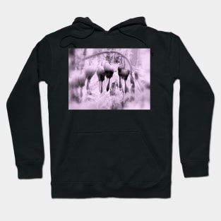 fairyland bleeding hearts, lavender tint Hoodie